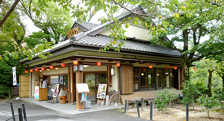 Local restaurant Ichikawa